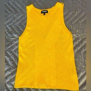 EXPRESS | Marigold Knitted Top